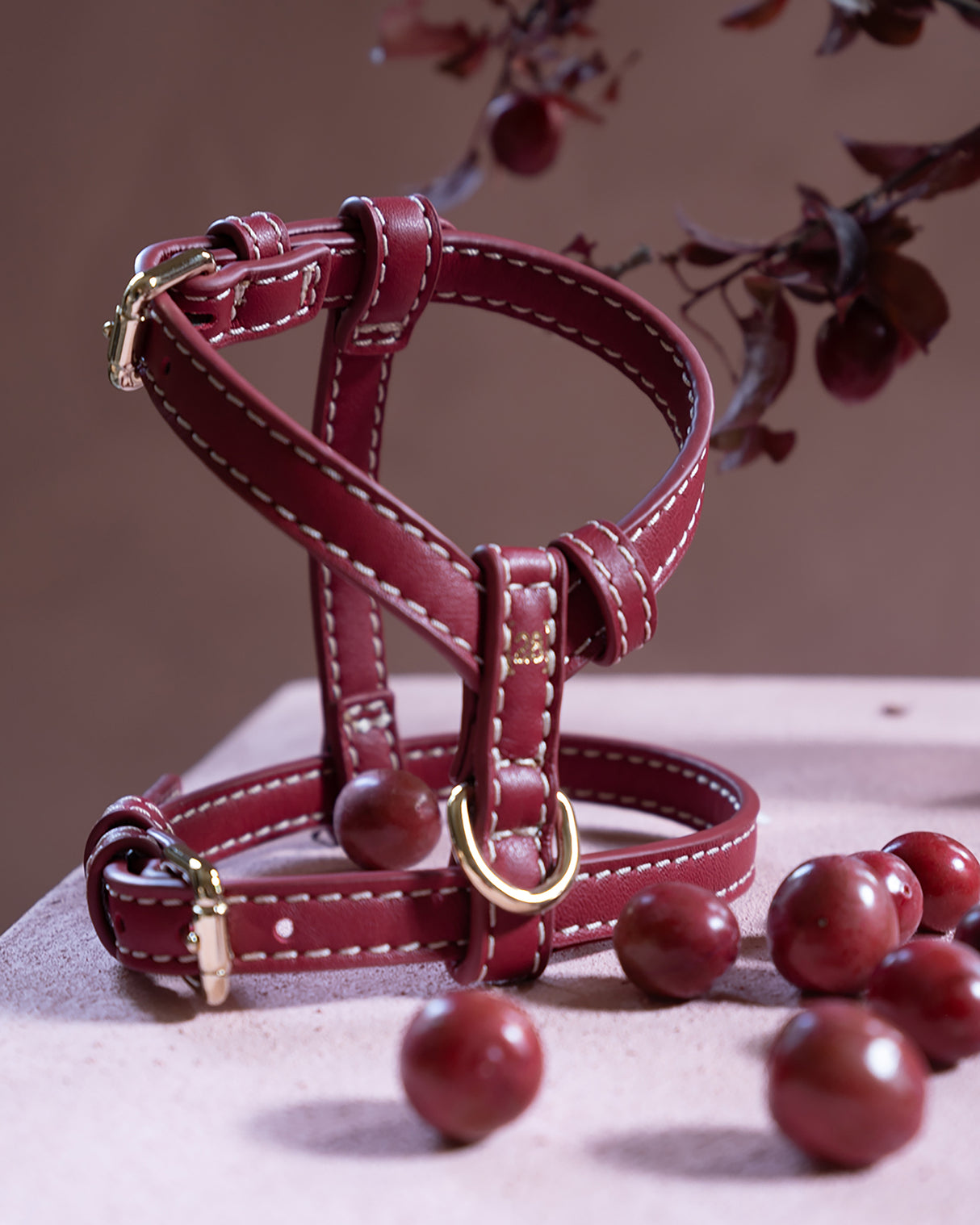 רתמה לכלב מעור נאפה איטלקי | GABRIELE DOG HARNESS