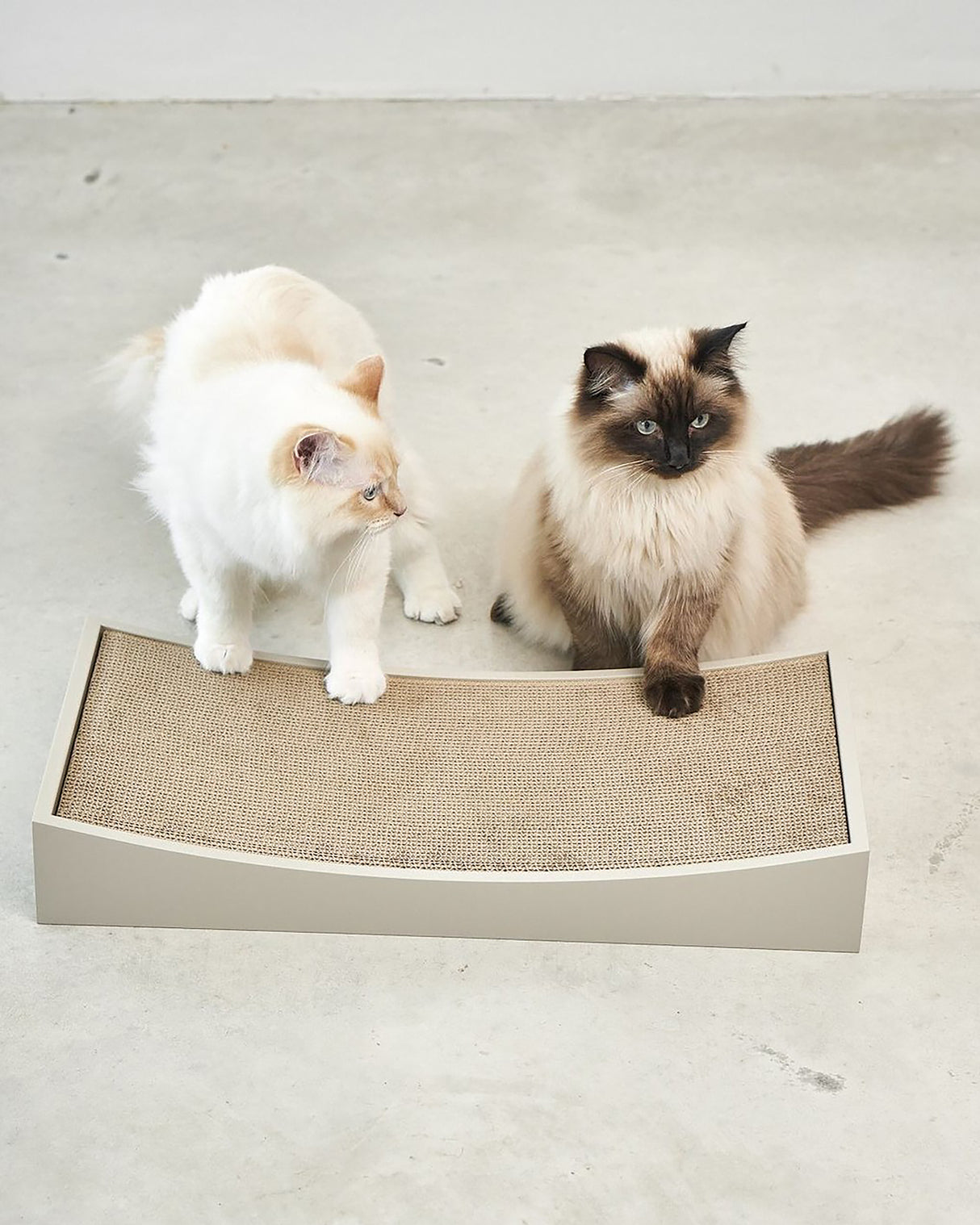 GRATTA CAT SCRATCHING BOARD | משטח גירוד לחתולים