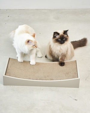 GRATTA CAT SCRATCHING BOARD | משטח גירוד לחתולים