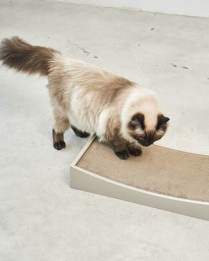 GRATTA CAT SCRATCHING BOARD | משטח גירוד לחתולים