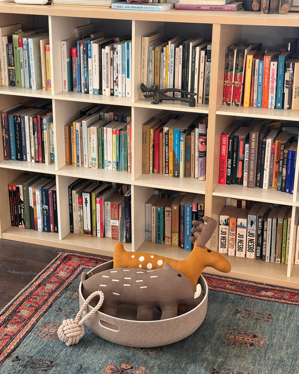 CESTO DOG BASKET | סל צעצועים / מיטה לכלב