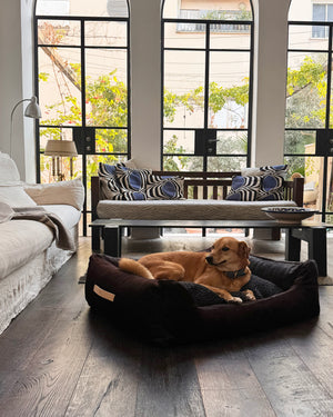 HENRI DARK COWHIDE BED | מיטה לכלב