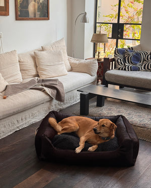 HENRI DARK COWHIDE BED | מיטה לכלב