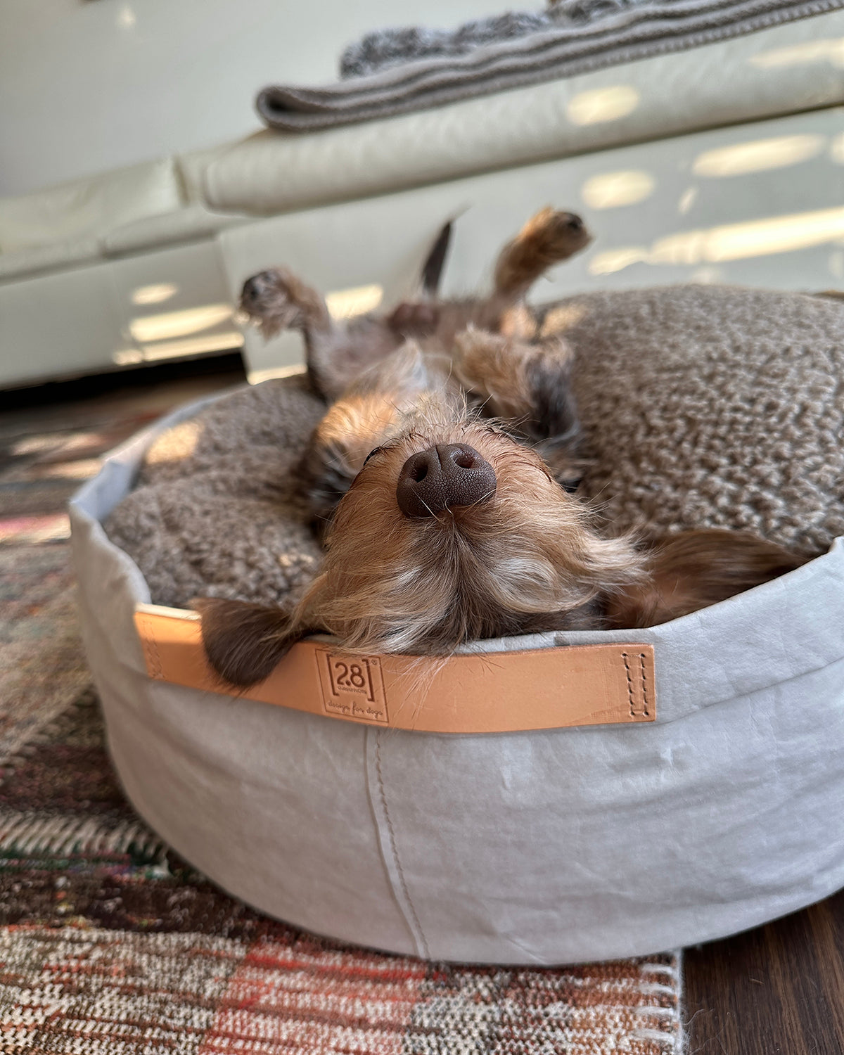 IRVING DOG BED | מיטה לכלב