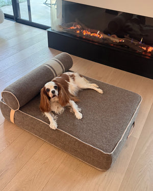 GIAMPAOLO RECYCLED WOOL DOG LOUNGE BED | מיטת לאונג׳ לכלב