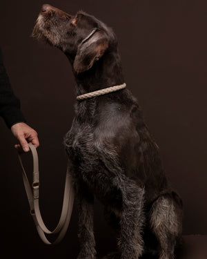 קולר קלוע לכלב מעור נאפה איטלקי | FERDINANDO NAPPA LEATHER COLLAR