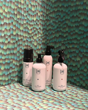 שמפו עדין לכלבים עם תמצית זרעי אשכולית | LISETTA DOG GENTLE SHAMPOO