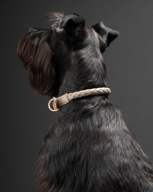קולר קלוע לכלב מעור נאפה איטלקי | FERDINANDO NAPPA LEATHER COLLAR