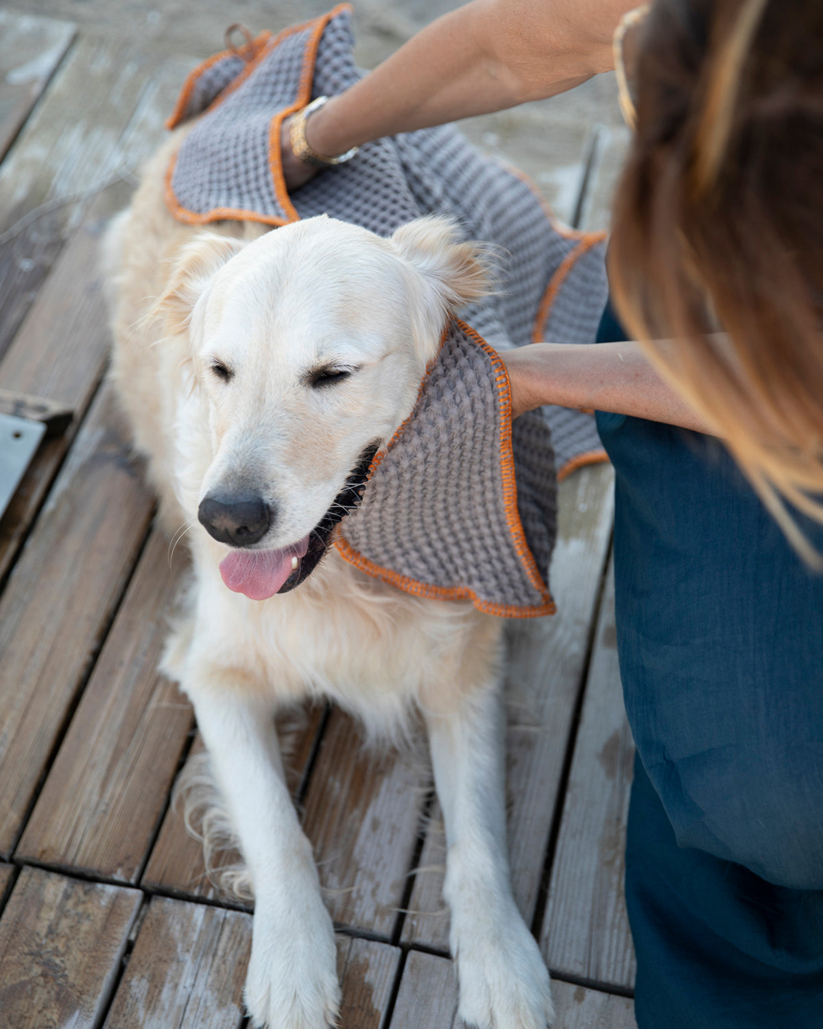 SALLY DOG TOWEL | מגבת לכלב