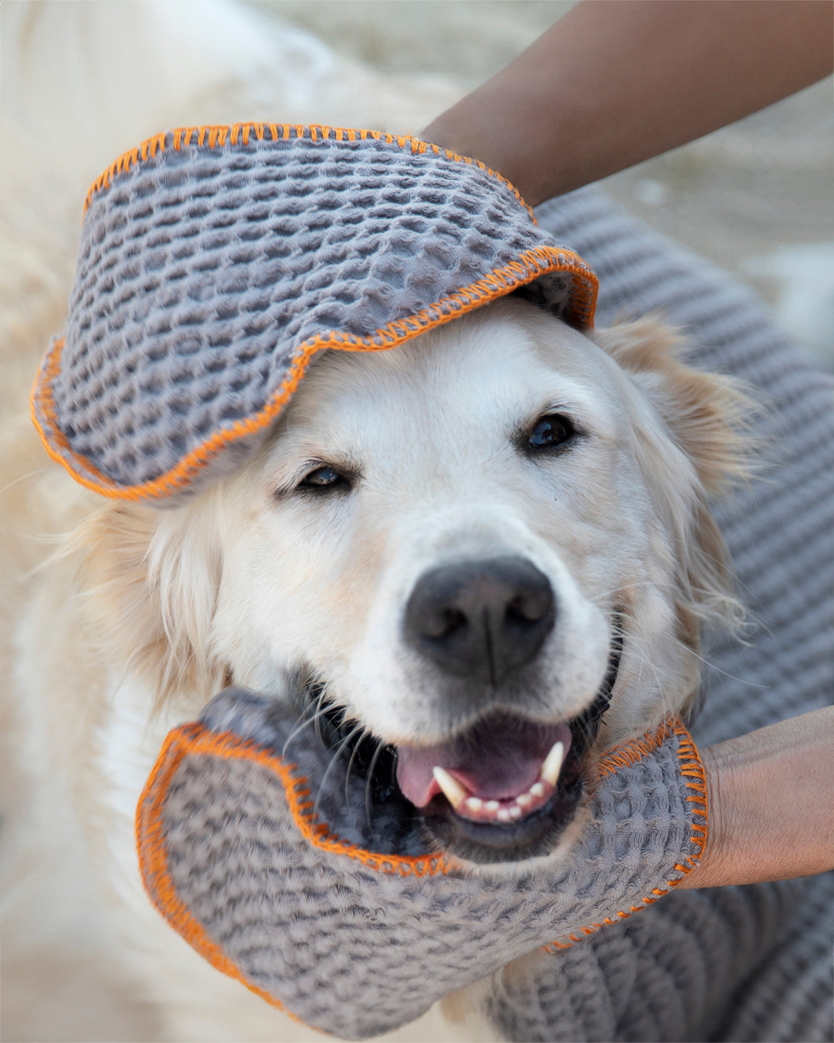 SALLY DOG TOWEL | מגבת לכלב