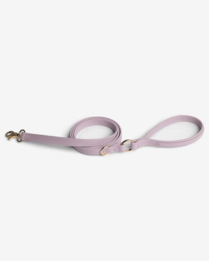 Crystal Walk Set For Dogs | סט רצועה וקולר משובץ אבן קריסטל