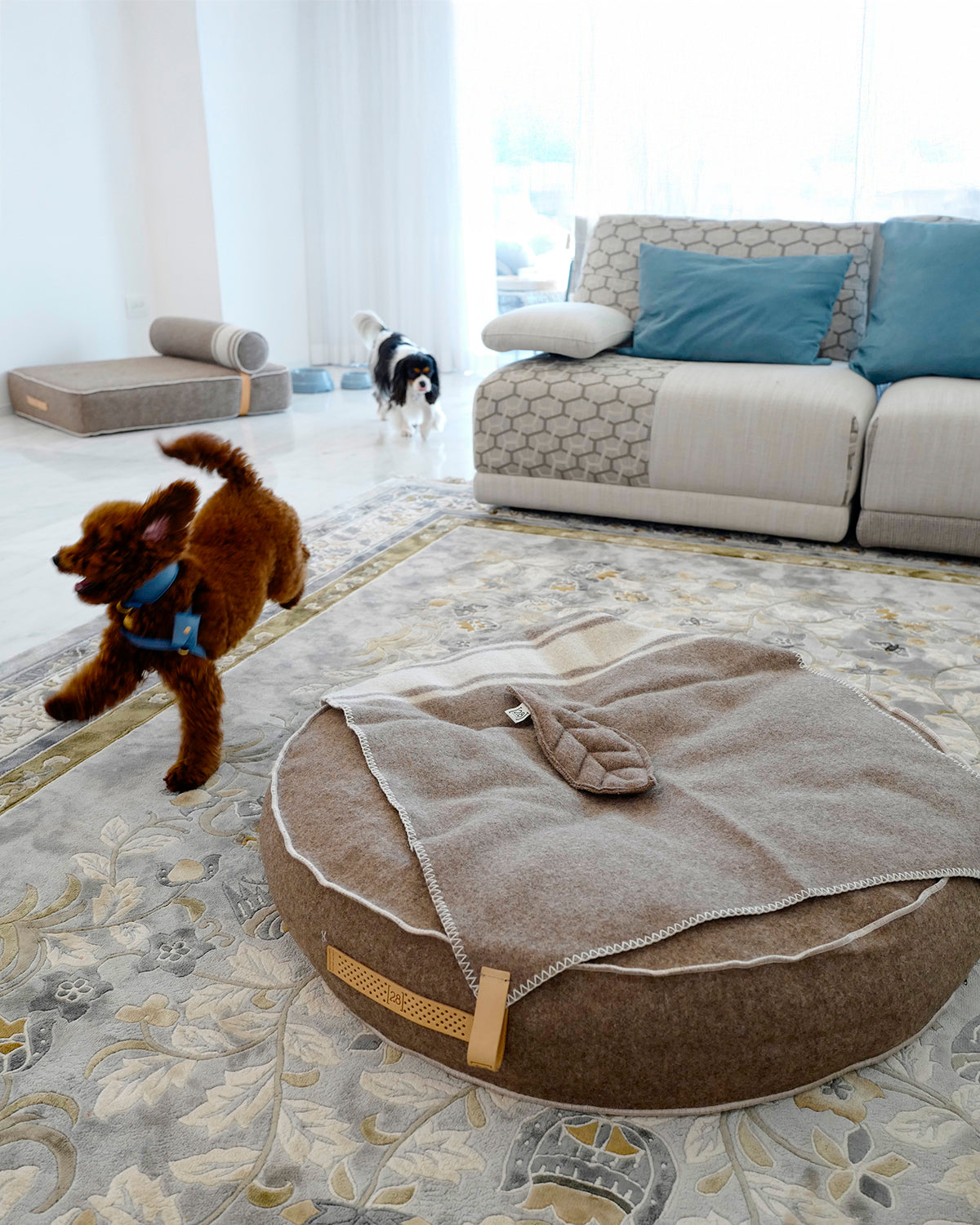 FULVIO RECYCLED WOOL  | מיטת פוף לכלב