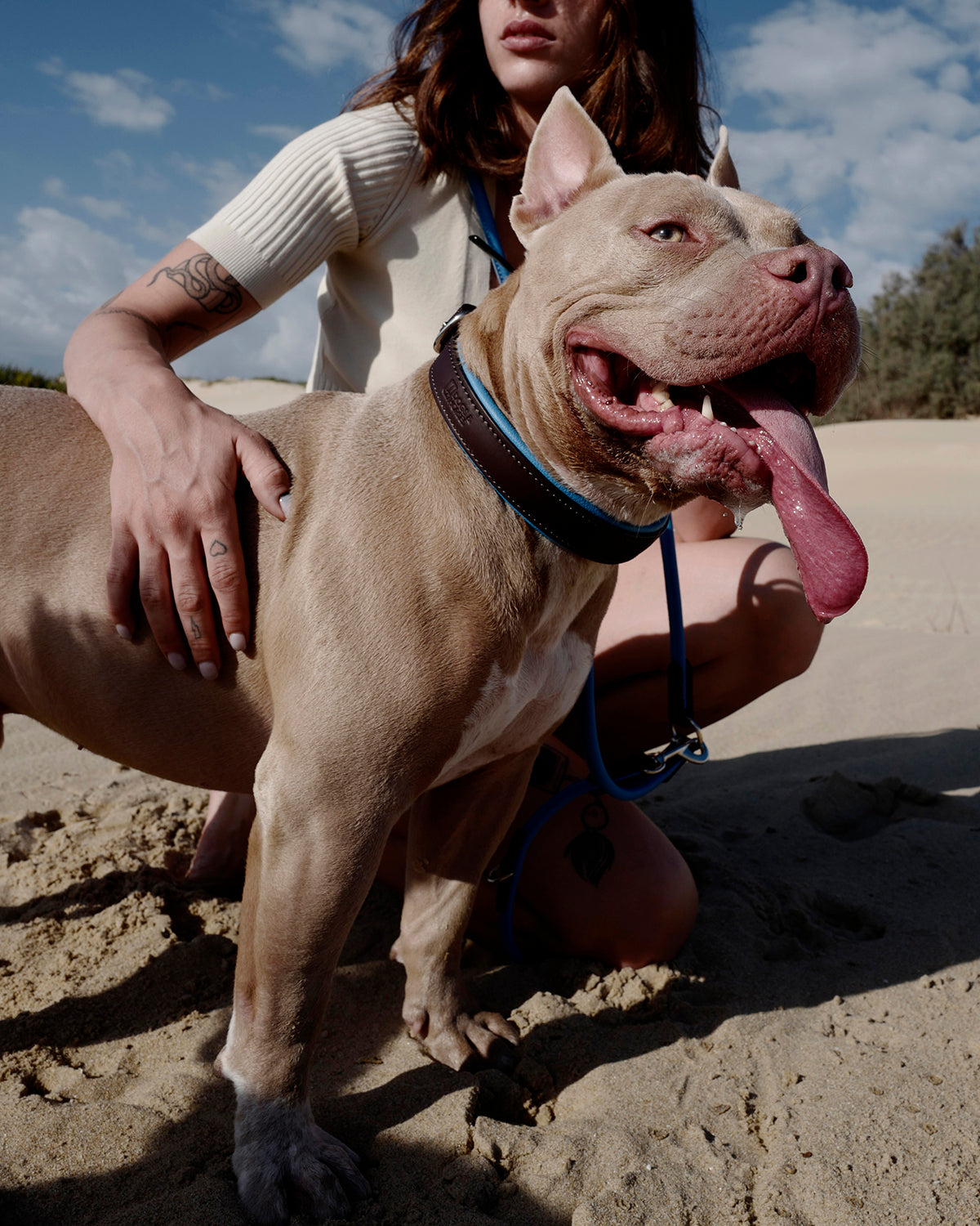 PADDED SOFT LEATHER COLLAR | קולר עור מרופד לכלב