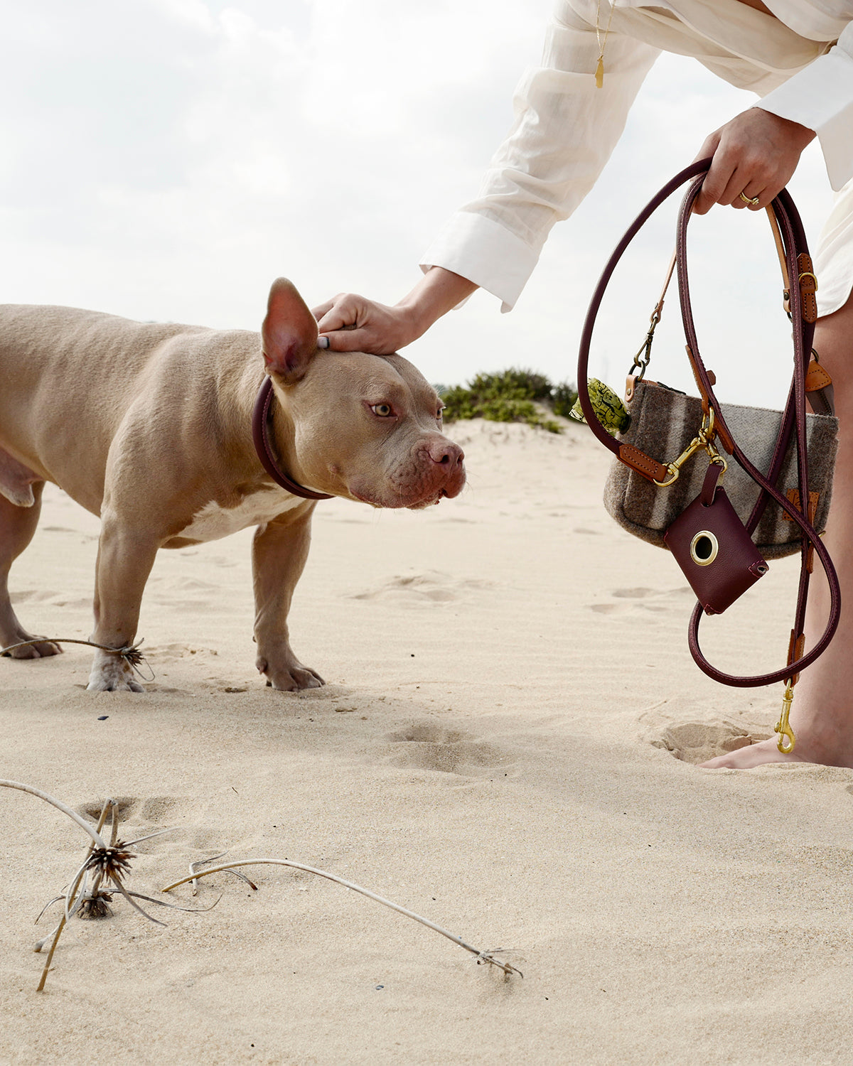 ROLLED SOFT LEATHER COLLAR | קולר עור מעוגל לכלב