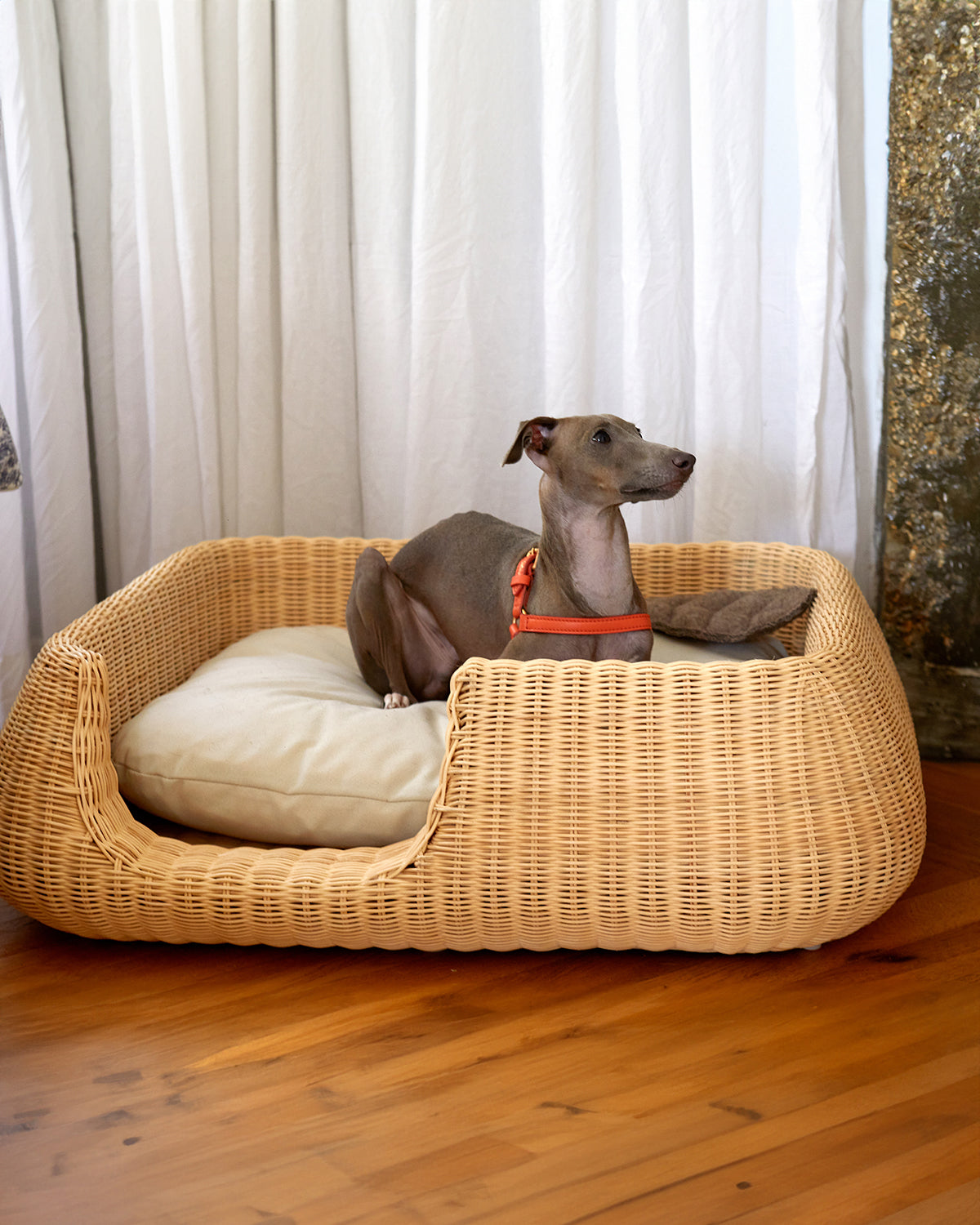 MIO DOG BED BASKET | מיטה לכלב