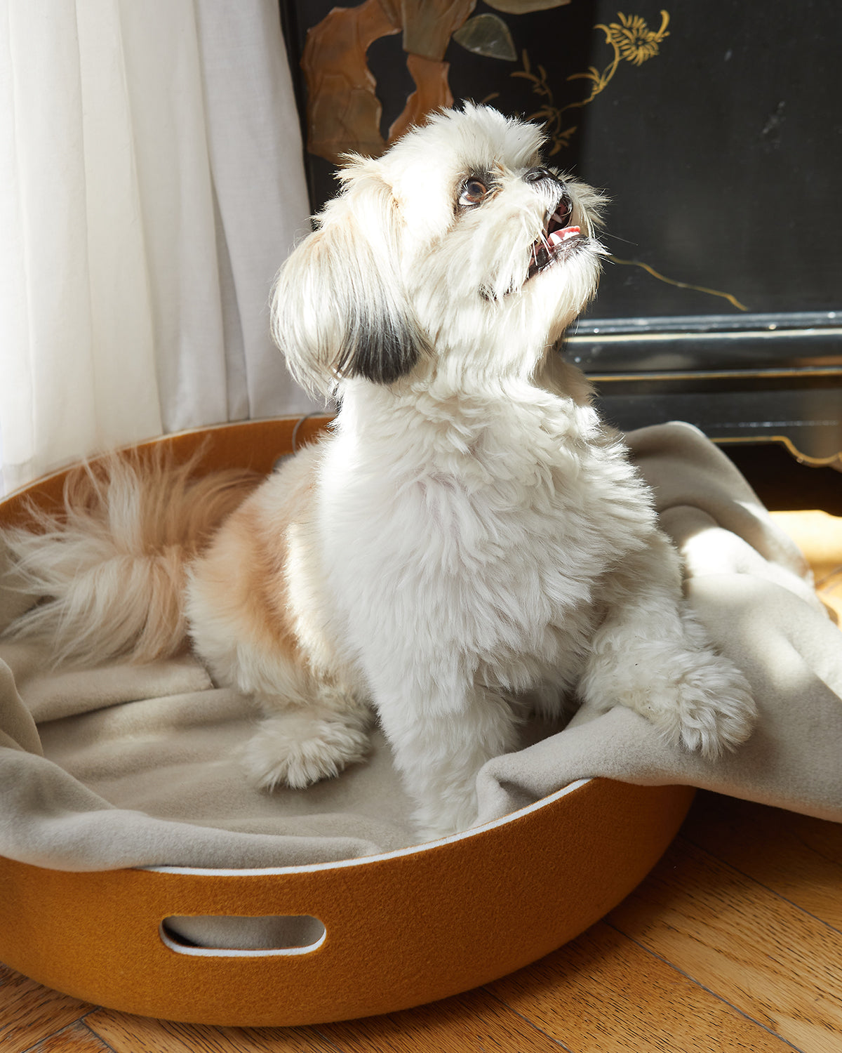 CESTO DOG BASKET | סל צעצועים / מיטה לכלב