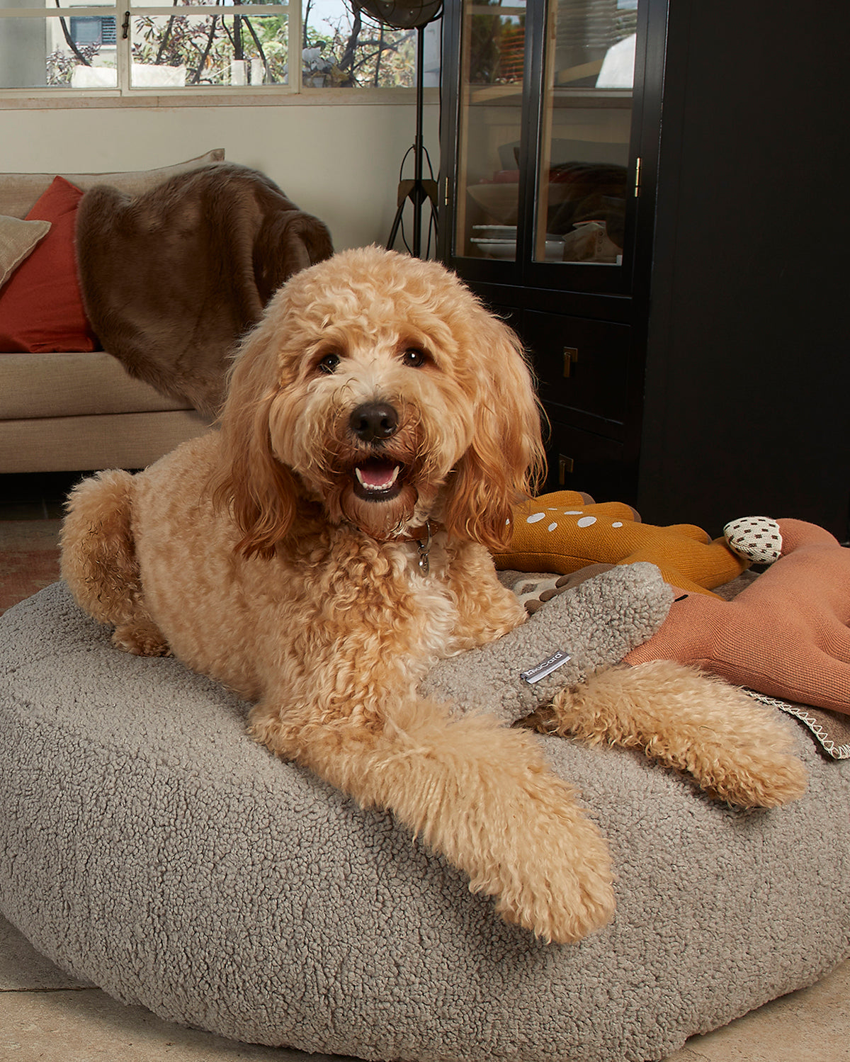 SENSO DOG BONE TOY | צעצוע עצם לכלב