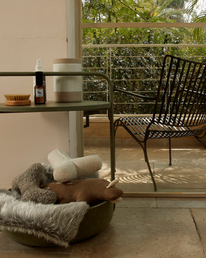 שולחן קפה / מיטה לכלב | TAVOLINO SIDE TABLE/DOG BED