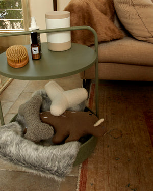 שולחן קפה / מיטה לכלב | TAVOLINO SIDE TABLE/DOG BED