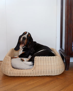 MIO DOG BED BASKET | מיטה לכלב