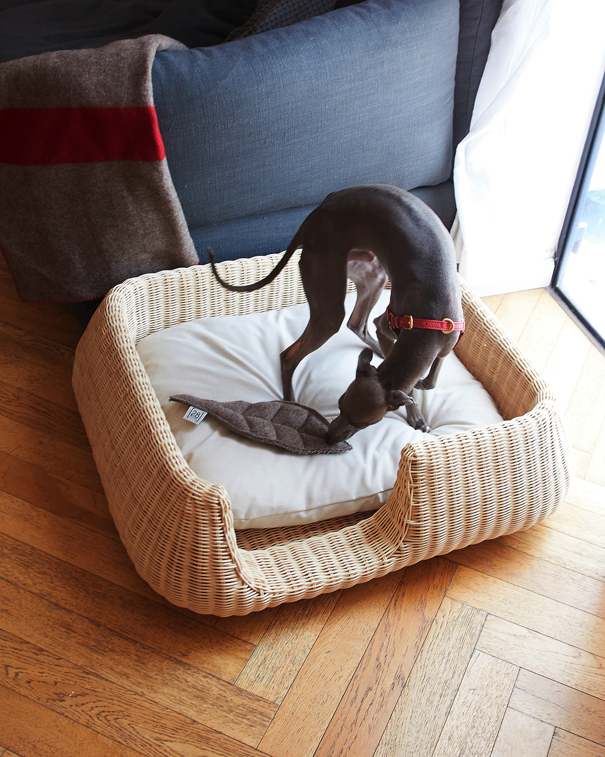 MIO DOG BED BASKET | מיטה לכלב