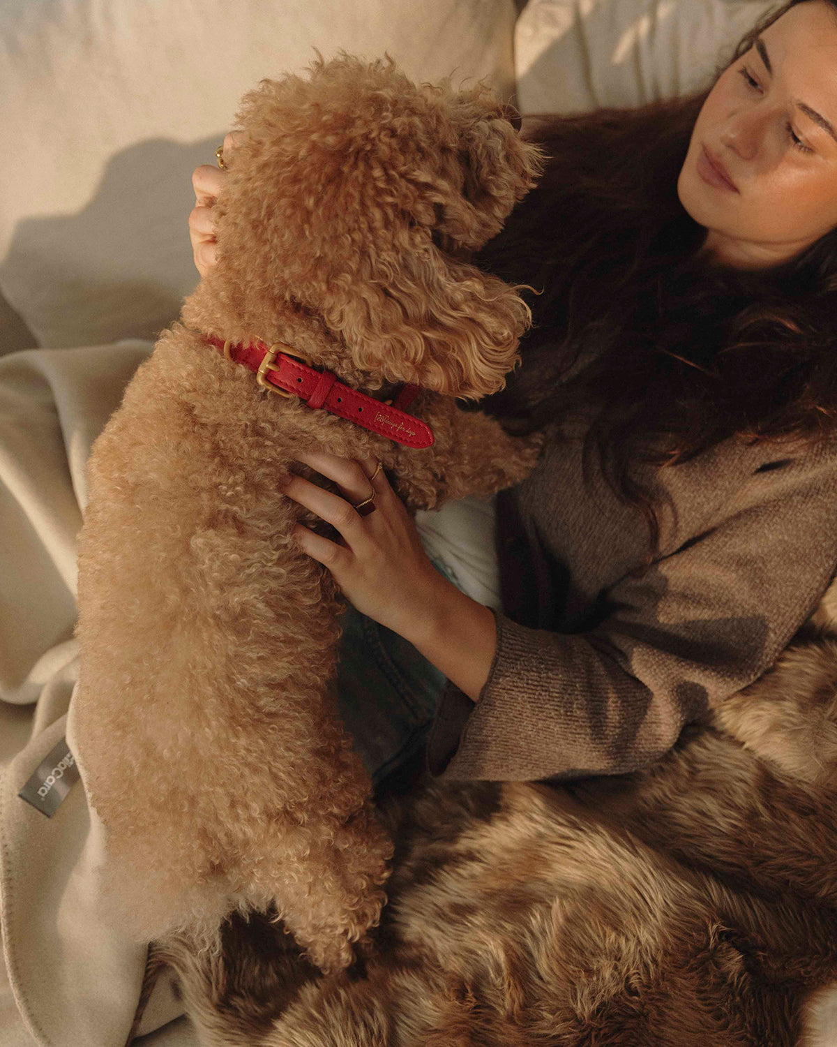 LANA DOG BLANKET | שמיכה לכלב