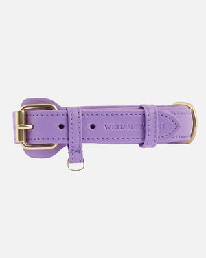 Plain Leather Collar | קולר עור לכלב