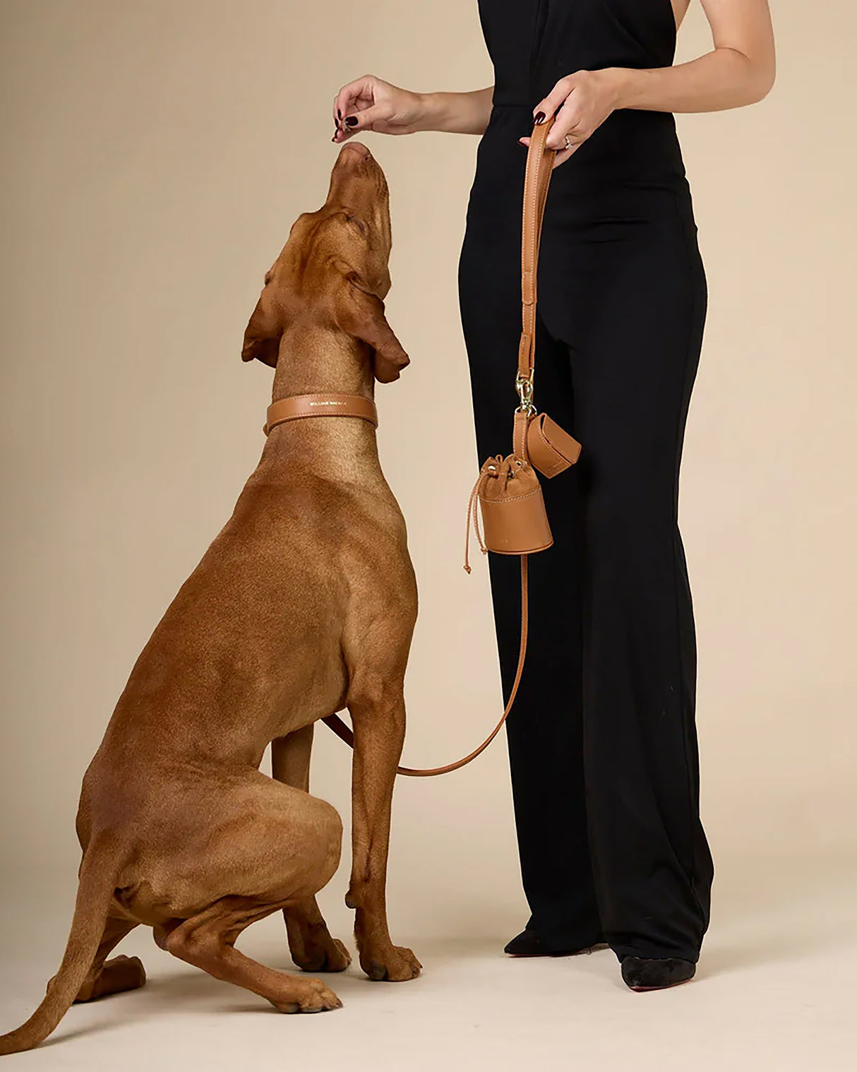 Luxe Smooth Leather Dog Leash | רצועת עור נאפה ארוכה ומתכווננת לכלב