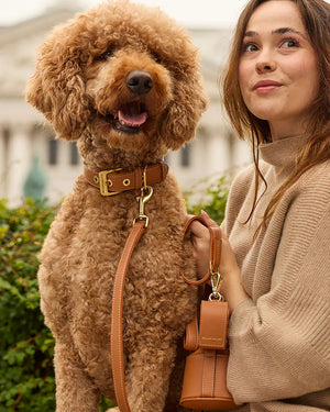 Luxe Smooth Leather Dog Collar | קולר עור נאפה לכלב