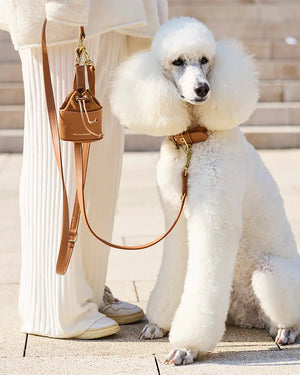 Luxe Nappa Smooth Leather Treat Bag | נרתיק חטיפים לכלבים מעור נאפה