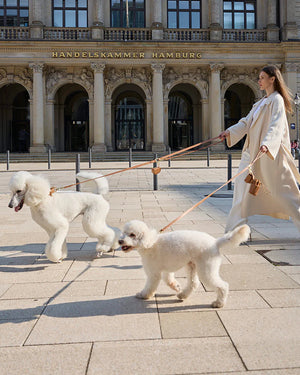 Luxe Smooth Leather Dog Leash | רצועת עור נאפה ארוכה ומתכווננת לכלב