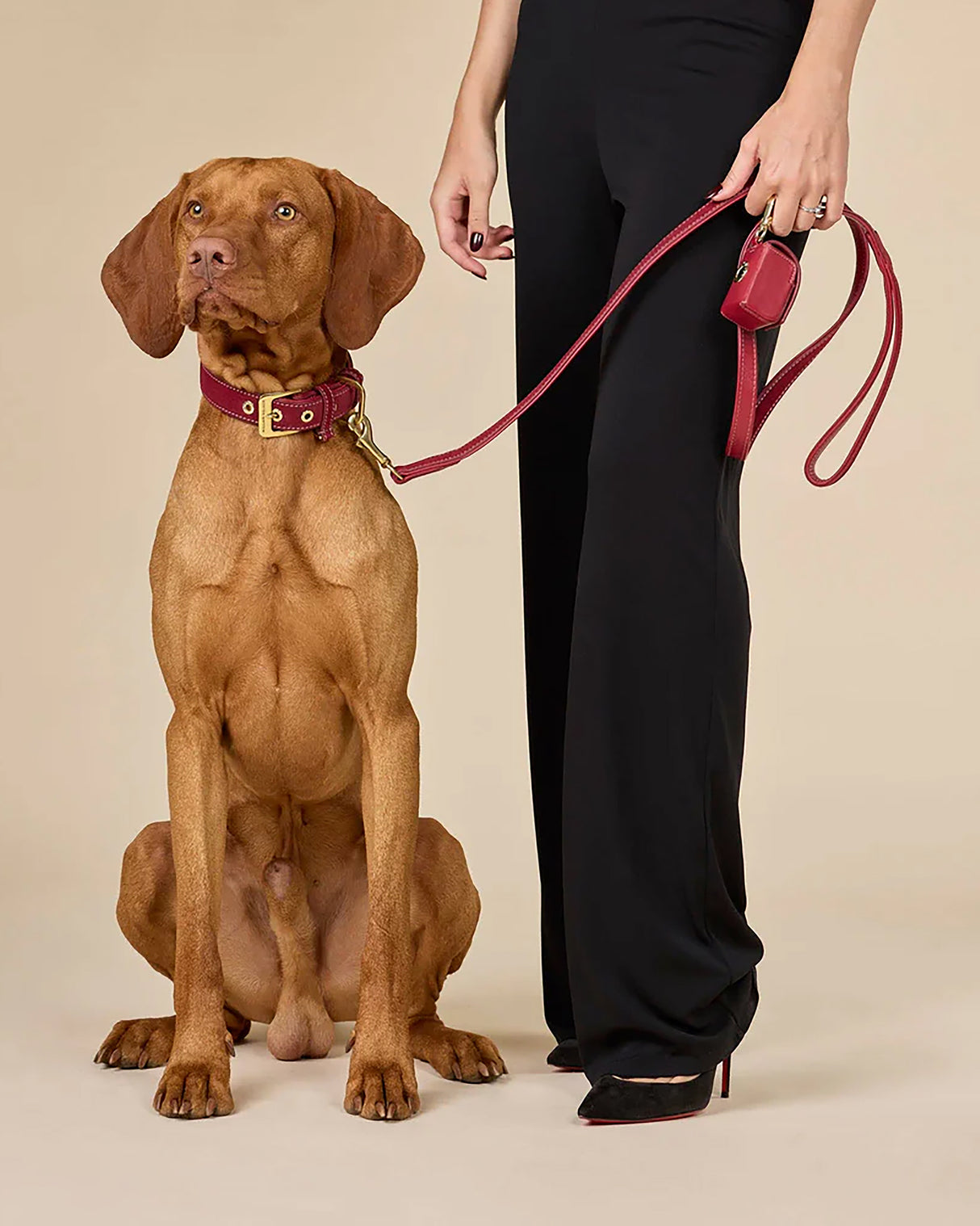 Luxe Suede Leather Dog Leash | רצועת עור ארוכה ומתכווננת לכלב