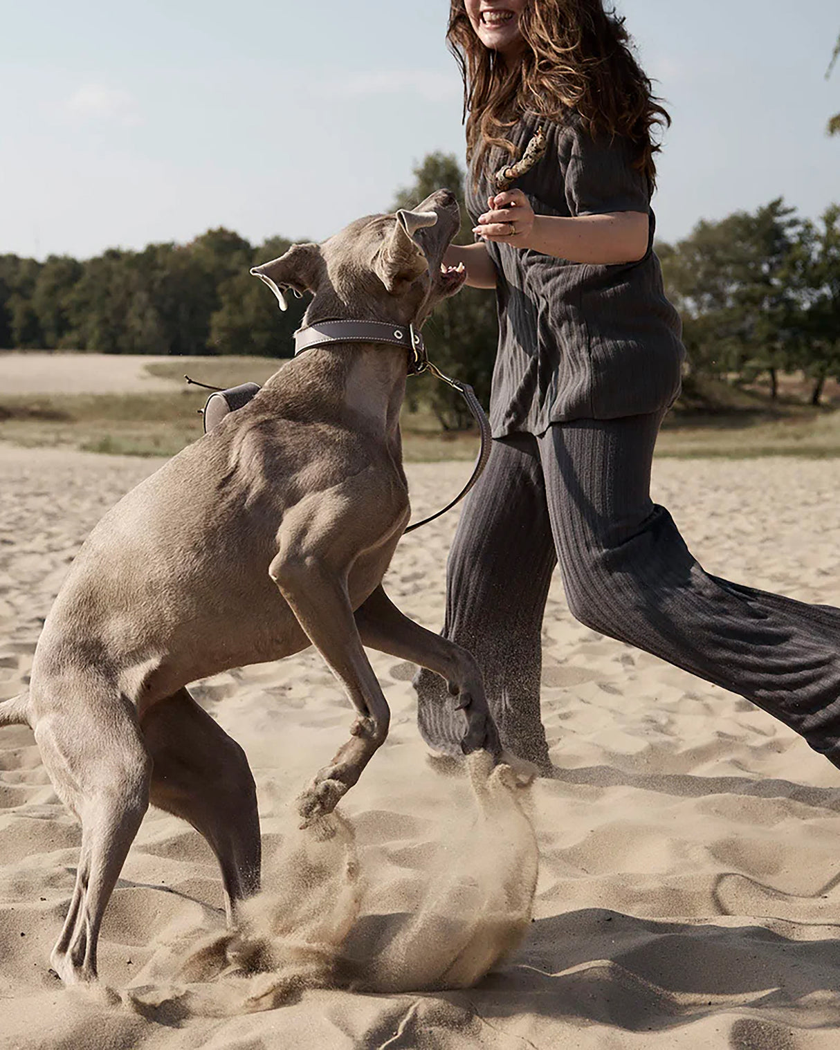 Luxe Smooth Leather Dog Collar | קולר עור נאפה לכלב