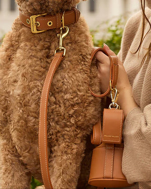 Luxe Smooth Leather Dog Leash | רצועת עור נאפה ארוכה ומתכווננת לכלב