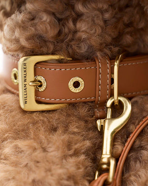 Luxe Smooth Leather Dog Collar | קולר עור נאפה לכלב