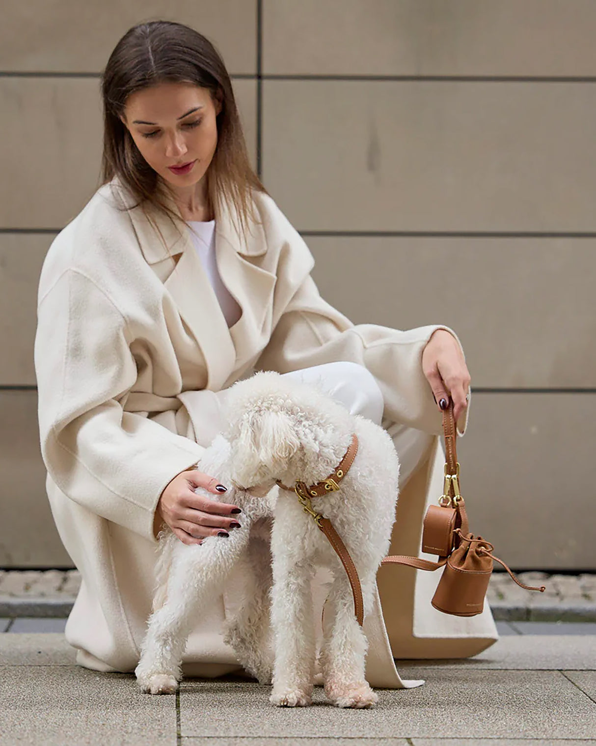 Luxe Smooth Leather Dog Collar | קולר עור נאפה לכלב