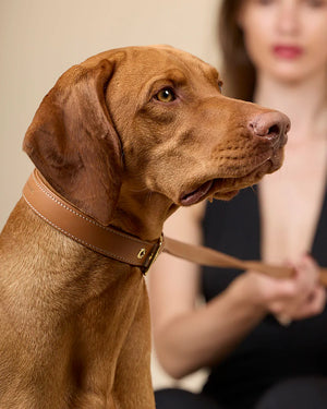 Luxe Smooth Leather Dog Collar | קולר עור נאפה לכלב