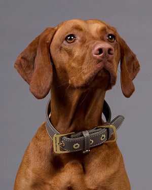 Luxe Smooth Leather Dog Collar | קולר עור נאפה לכלב