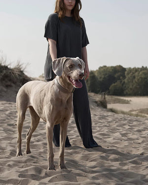 Luxe Smooth Leather Dog Collar | קולר עור נאפה לכלב