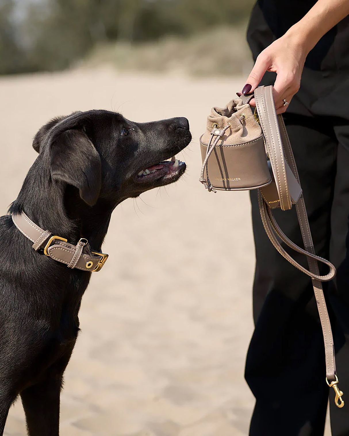 Luxe Smooth Leather Dog Collar | קולר עור נאפה לכלב