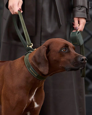 Luxe Suede Leather Dog Leash | רצועת עור ארוכה ומתכווננת לכלב