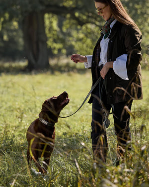 Luxe Suede Leather Dog Leash | רצועת עור ארוכה ומתכווננת לכלב