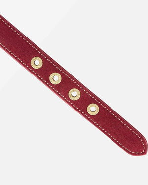 Luxe Suede Leather Dog Collar | קולר עור זמש לכלב