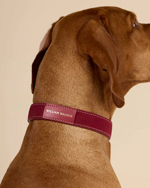 Luxe Suede Leather Dog Collar | קולר עור זמש לכלב