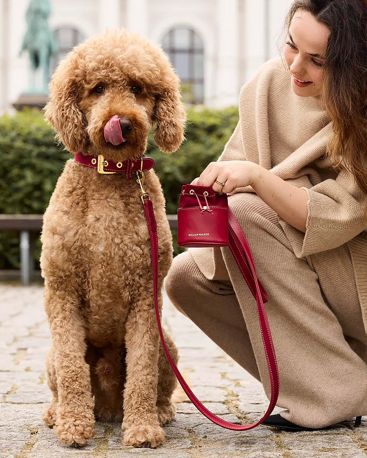 Luxe Suede Leather Dog Leash | רצועת עור ארוכה ומתכווננת לכלב