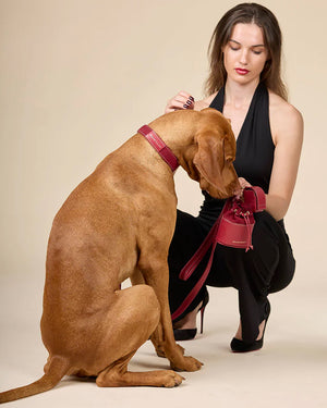 Luxe Suede Leather Dog Leash | רצועת עור ארוכה ומתכווננת לכלב