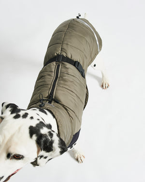 COSIMA DOG WINTER COAT | מעיל חורף לכלב