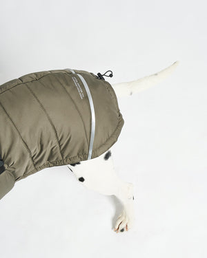 COSIMA DOG WINTER COAT | מעיל חורף לכלב