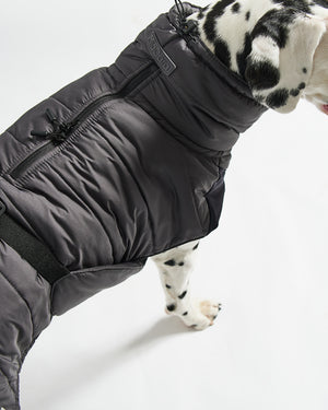 COSIMA DOG WINTER COAT | מעיל חורף לכלב