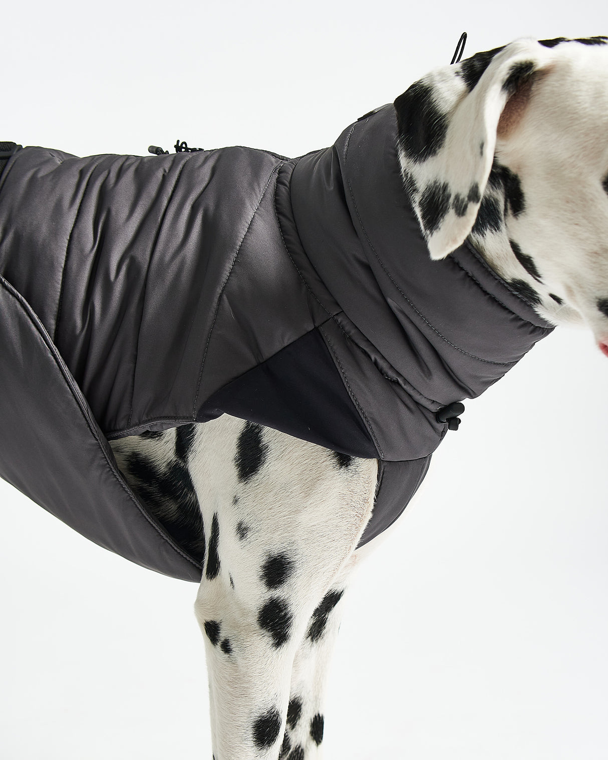 COSIMA DOG WINTER COAT | מעיל חורף לכלב